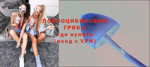 трава Медногорск