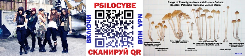 Псилоцибиновые грибы прущие грибы сайты даркнета как зайти Елизово