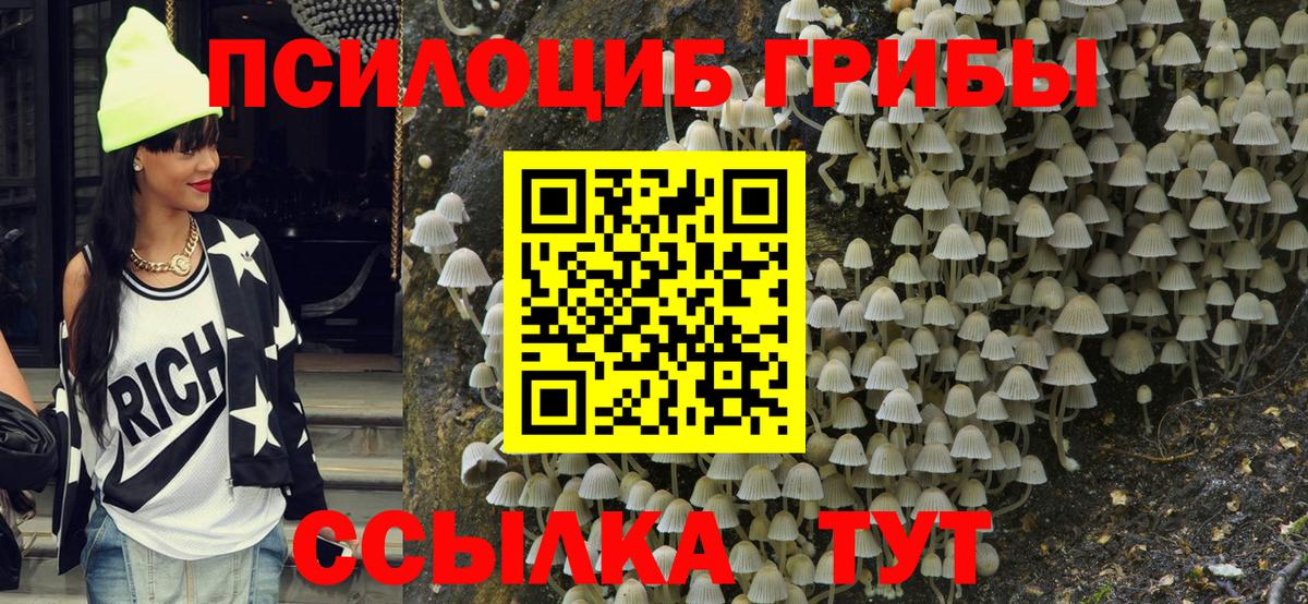 Псилоцибиновые грибы GOLDEN TEACHER Елизово