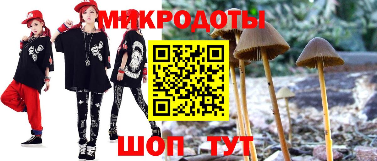 Галлюциногенные грибы MAGIC MUSHROOMS  Елизово 