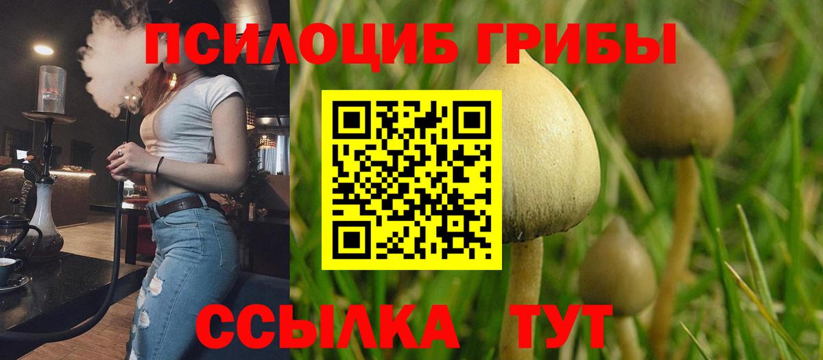 Псилоцибиновые грибы мухоморы  Псилоцибиновые грибы Magic Shrooms  даркнет сайт  Вход с VPN  Елизово 