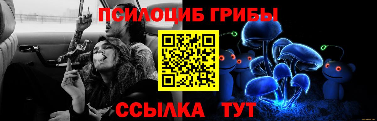 Псилоцибиновые грибы Magic Shrooms Елизово